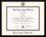 University of Florida diploma frame - Icon in Gotham