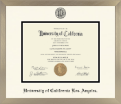 University of California Los Angeles diploma frame - Icon in Light Champagne