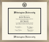 Wilmington University diploma frame - Icon in Light Champagne