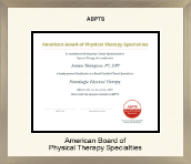 American Board of Physical Therapy Specialties certificate frame - Icon in Light Champagne