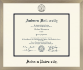 Auburn University diploma frame - Icon in Light Champagne