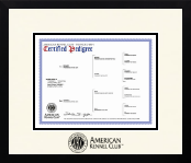 American Kennel Club certificate frame - Icon Frame in Gotham