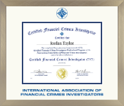 International Association of Financial Crimes Investigation certificate frame - Dimensions Certificate Frame in Light Champagne
