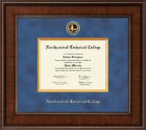 University of South Florida diploma frame - Presidential Gold Engraved Diploma Frame in Madison