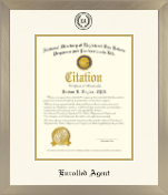 PTIN Directory Inc. certificate frame - Enrolled Agent Dimensions Certificate Frame in Light Champagne