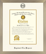 PTIN Directory Inc. certificate frame - Registered Tax Preparer Dimensions Certificate Frame in Light Champagne