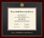 Texas A&M University Victoria diploma frame - Gold Engraved Medallion Diploma Frame in Sutton