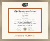 University of Florida diploma frame - Icon Diploma Frame in Light Champagne