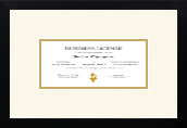 Specialty Frames Business license frame - Business License Frame in Gotham