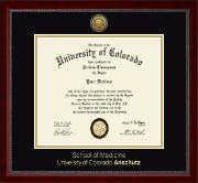 University of Colorado Anschutz diploma frame - Gold Engraved Medallion Diploma Frame in Sutton