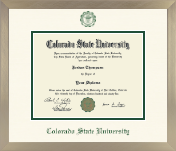 Colorado State University diploma frame - Icon Diploma Frame in Light Champagne