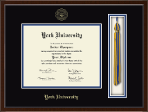 York University of Nebraska diploma frame - Tassel & Cord Diploma Frame in Delta