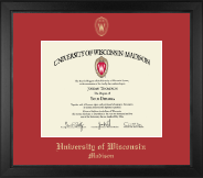 University of Wisconsin Madison diploma frame - Gold Embossed Achievement Edition Diploma Frame in Arena
