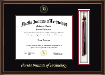 Florida Institute of Technology diploma frame - Tassel & Cord Diploma Frame in Delta