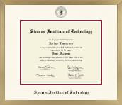 Stevens Institute of Technology diploma frame - Icon Diploma Frame in Chardonnay