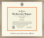 The University of Tennessee Martin diploma frame - Icon Diploma Frame in Light Champagne