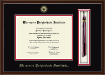 Worcester Polytechnic Institute diploma frame - Tassel & Cord Diploma Frame in Delta