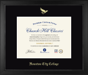 Houston Community College diploma frame - Gold Embossed Diploma Frame in Arena