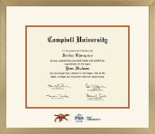 Campbell University diploma frame - Icon Frame in Chardonnay