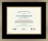 Specialty Frames certificate frame - Custom Certificate Frame in Light Champagne