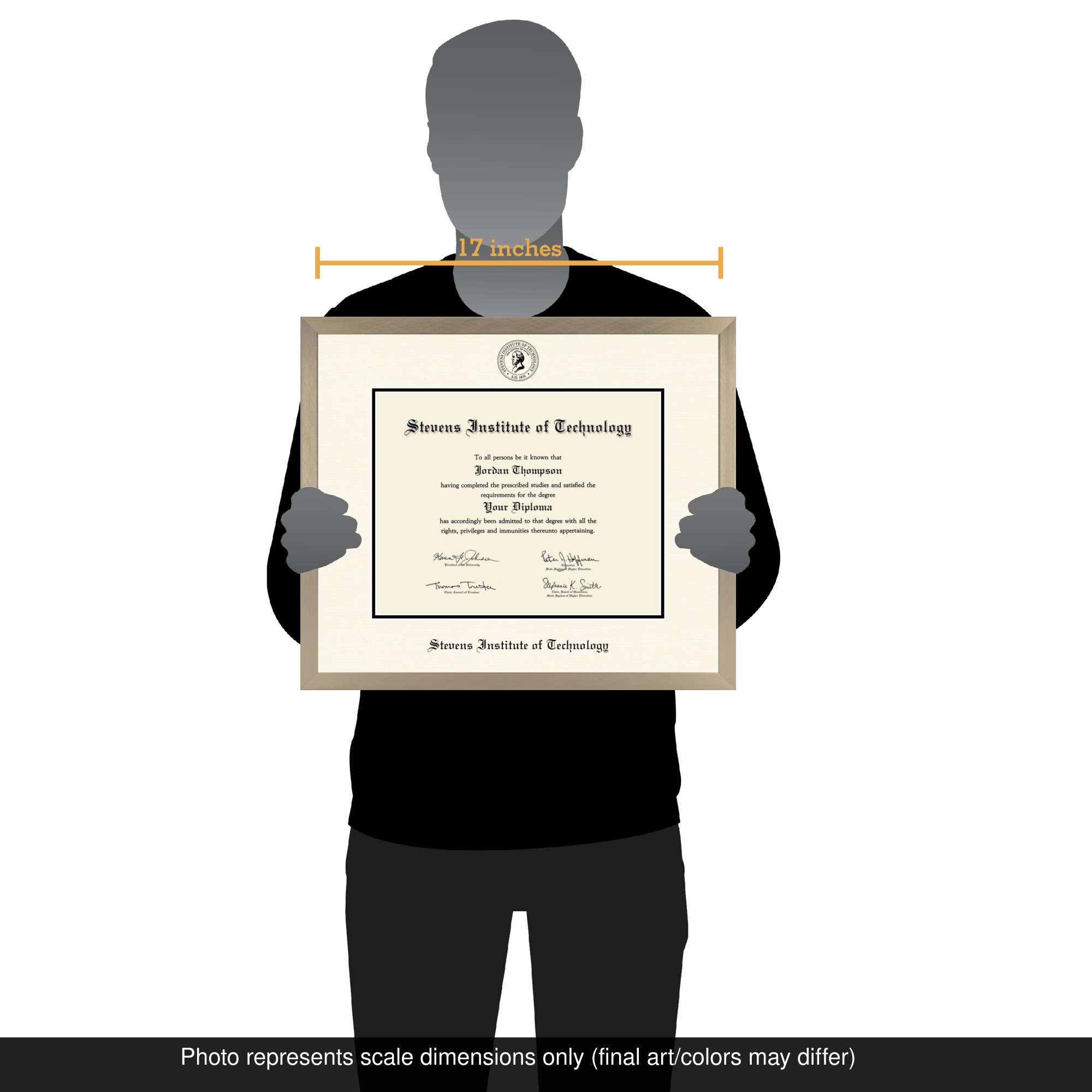 Icon Diploma Frame in Light Champagne - Item #P90523 from Stevens