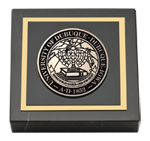 University of Dubuque paperweight - Masterpiece Medallion Paperweight