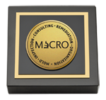 Mold Inspection Consulting and Remediation Organization paperweight - Gold Engraved Medallion Paperweight