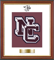Northeastern Clinton Central School varsity letter frame - Varsity Letter Frame in Newport