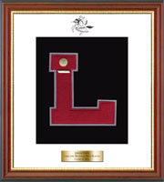Lakeland Regional High School varsity letter frame - Varsity Letter Frame in Newport