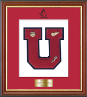 University High School of Science and Engineering varsity letter frame - Varsity Letter Frame in Newport