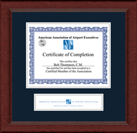 American Association of Airport Executives certificate frame - Lasting Memories Banner Certificate Frame in Sierra