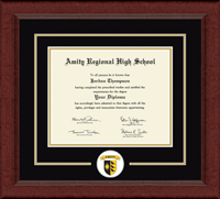 Amity Regional High School diploma frame - Lasting Memories Circle Logo Diploma Frame in Sierra