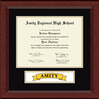 Amity Regional High School diploma frame - Lasting Memories Banner Diploma Frame in Sierra
