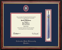Colorado State University Pueblo diploma frame - Nursing Pin Tassel Edition Diploma Frame in Southport Gold