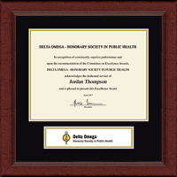 Delta Omega Honorary Society in Public Health certificate frame - Lasting Memories Banner Certificate Frame in Sierra