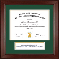 American College of Obstetricians & Gynecologists certificate frame - Lasting Memories Banner Certificate Frame in Sierra