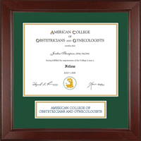 American College of Obstetricians & Gynecologists certificate frame - Lasting Memories Banner Certificate Frame in Sierra