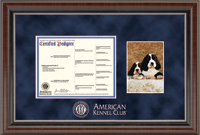 American Kennel Club certificate frame - Silver Embossed Pedigree & 5' x 7' Photo Frame in Chateau