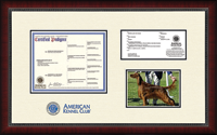 American Kennel Club certificate frame - Dimensions Pedigree Certificate/Registration & 5'x7' Photo Frame in Sutton