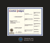 American Kennel Club certificate frame - Spectrum Wall Certificate Frame in Expo Black