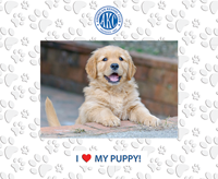 American Kennel Club photo frame - I love My Puppy Spectrum Pattern Photo Frame