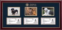 American Kennel Club Photo & Registration Frame - Triple Photo/Registration Frame in Gallery