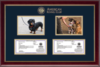 American Kennel Club Photo & Registration Frame - Double Photo/Registration Frame in Gallery