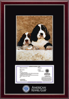 American Kennel Club photo frame - Masterpiece Medallion Registration & 8' x 10' Photo Frame in Gallery Silver