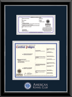 American Kennel Club certificate, registration frame - Masterpiece Double Pedigree, Registration Frame in Onyx Silver