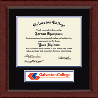 Galveston College diploma frame - Lasting Memories Banner Diploma Frame in Sierra