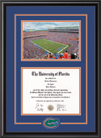University of Florida diploma frame - Spirit Medallion Stadium Scene Diploma Frame in Midnight