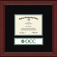 Oakland Community College diploma frame - Lasting Memories Banner Logo Diploma Frame in Sierra