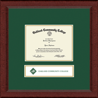 Oakland Community College diploma frame - Lasting Memories Banner Diploma Frame in Sierra