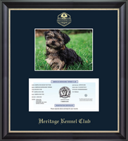 Heritage Kennel Club certificate frame - Gold Embosssed Registration & 5'x7' Photo Frame in Noir